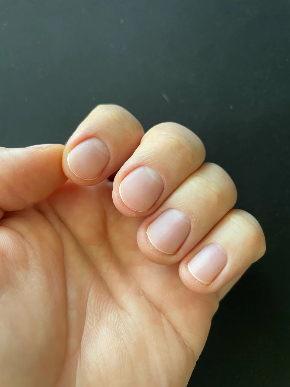 Работа мастеров NailsProfi №147