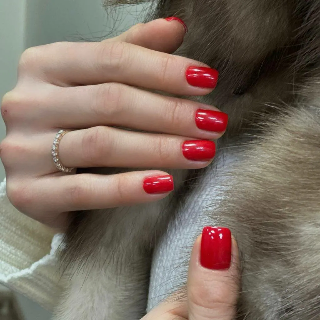 Работа мастеров NailsProfi №220