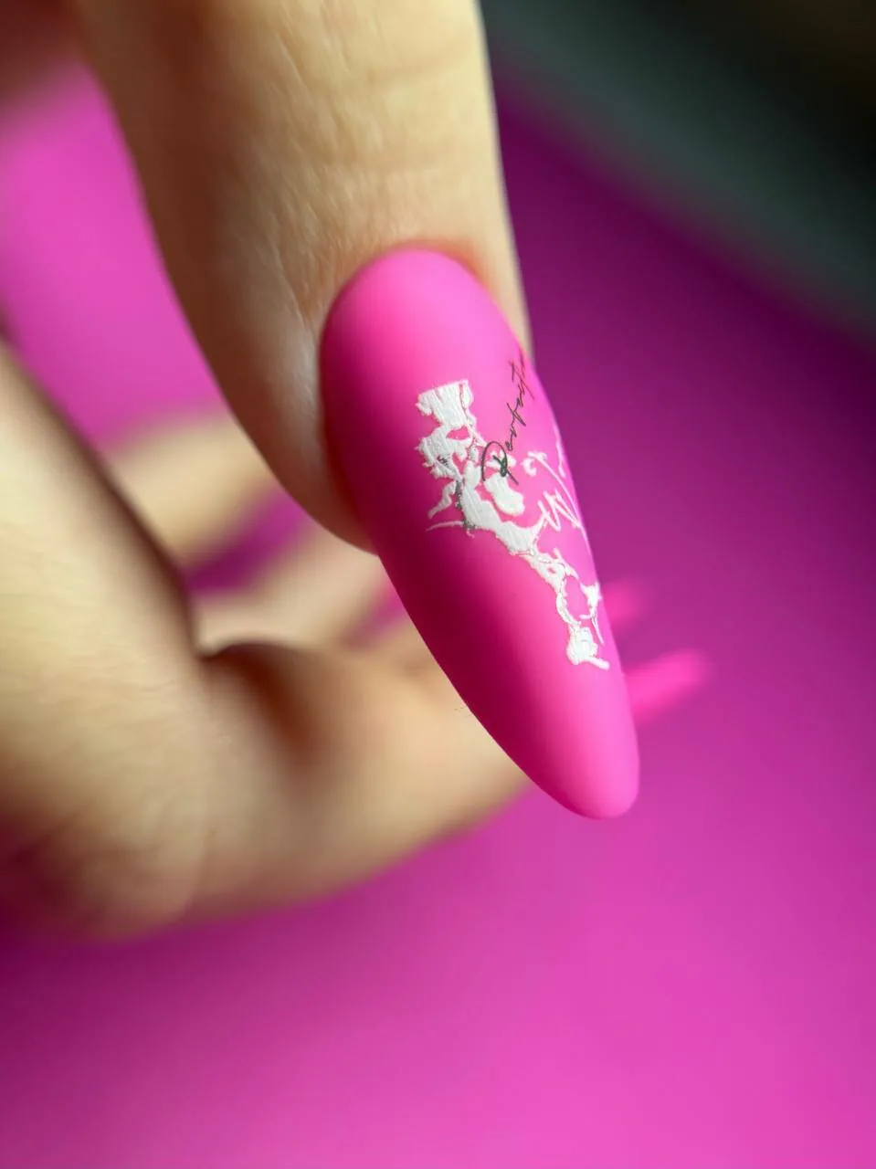 Работа мастеров NailsProfi №270