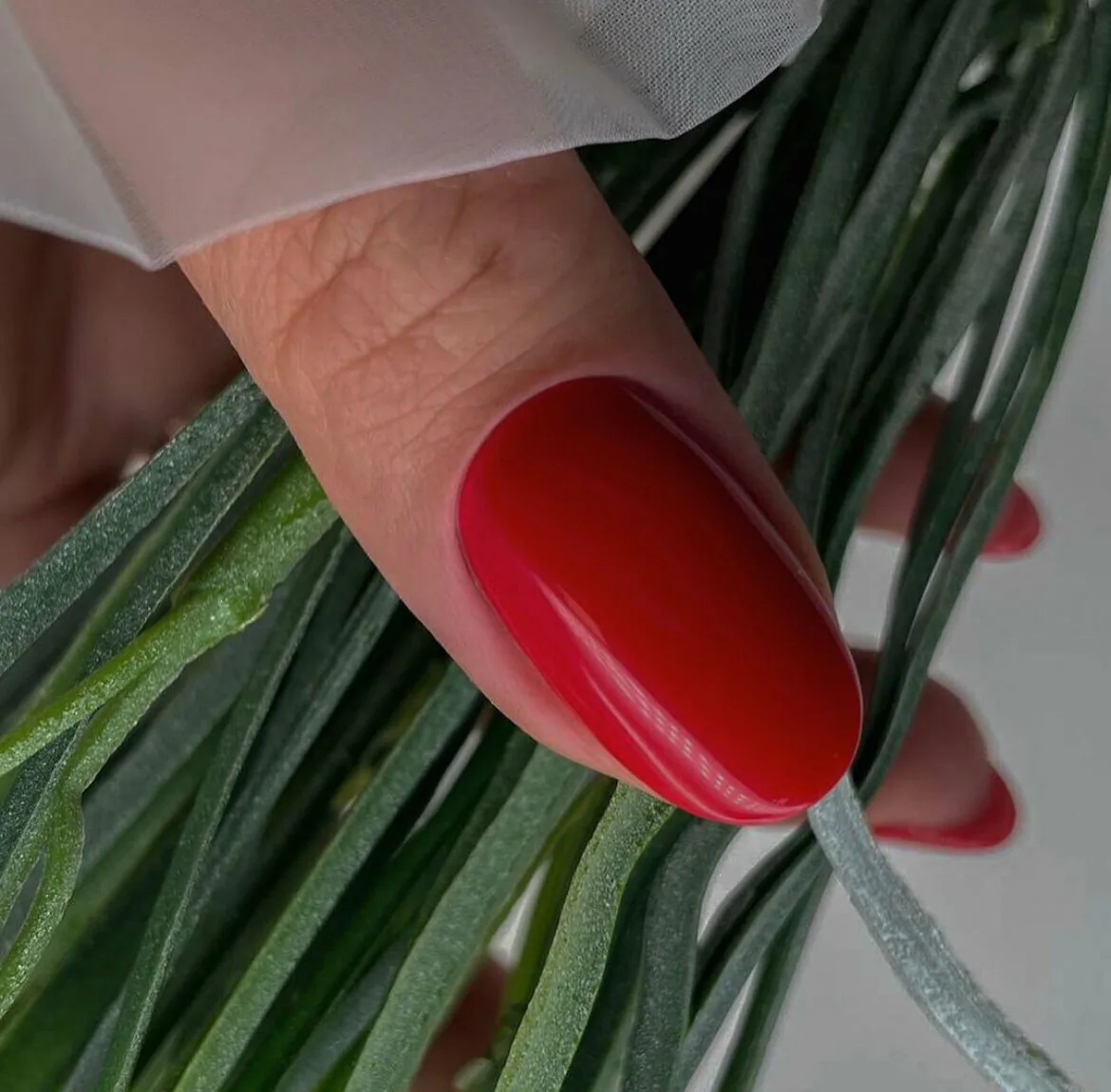 Работа мастеров NailsProfi №350